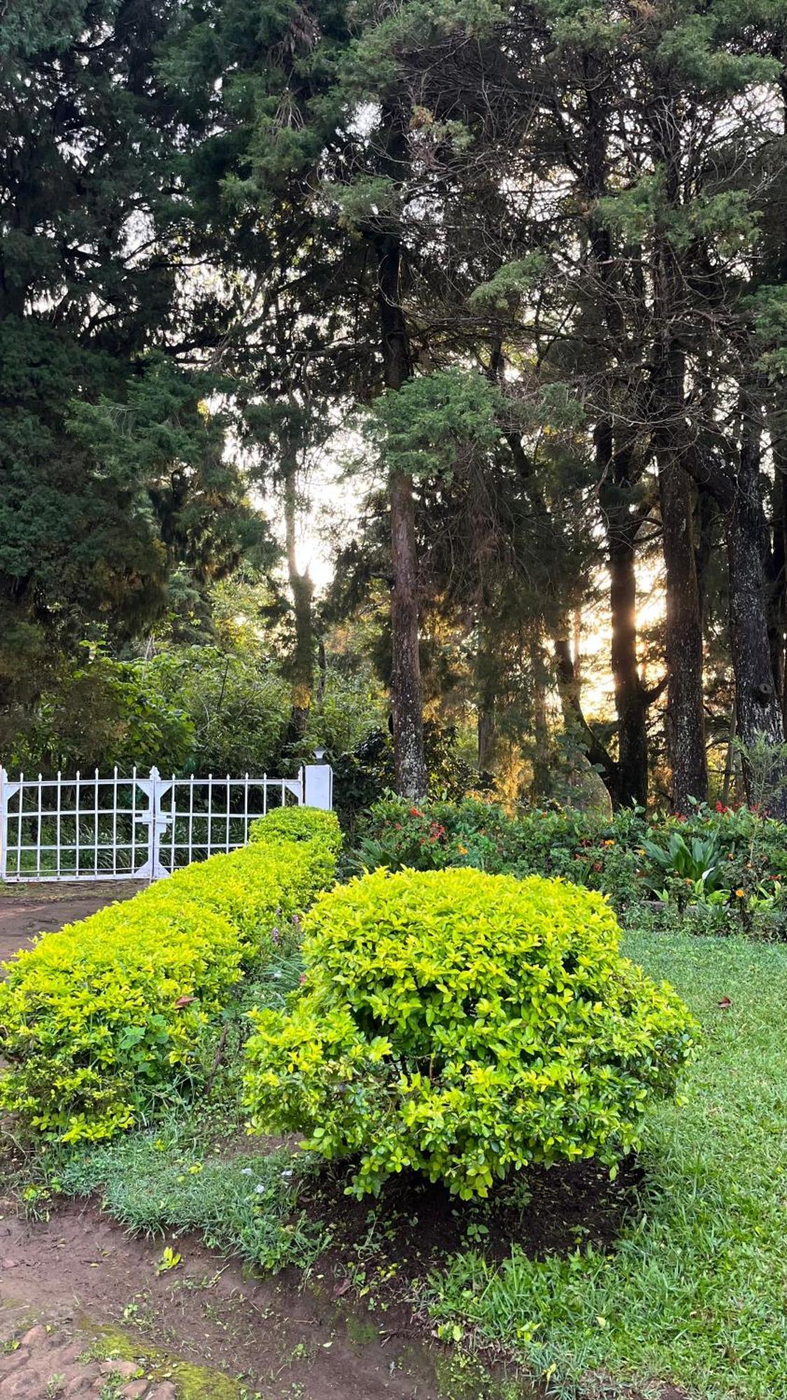 Tentgram Planters Bungalow Suryanelli Exterior photo